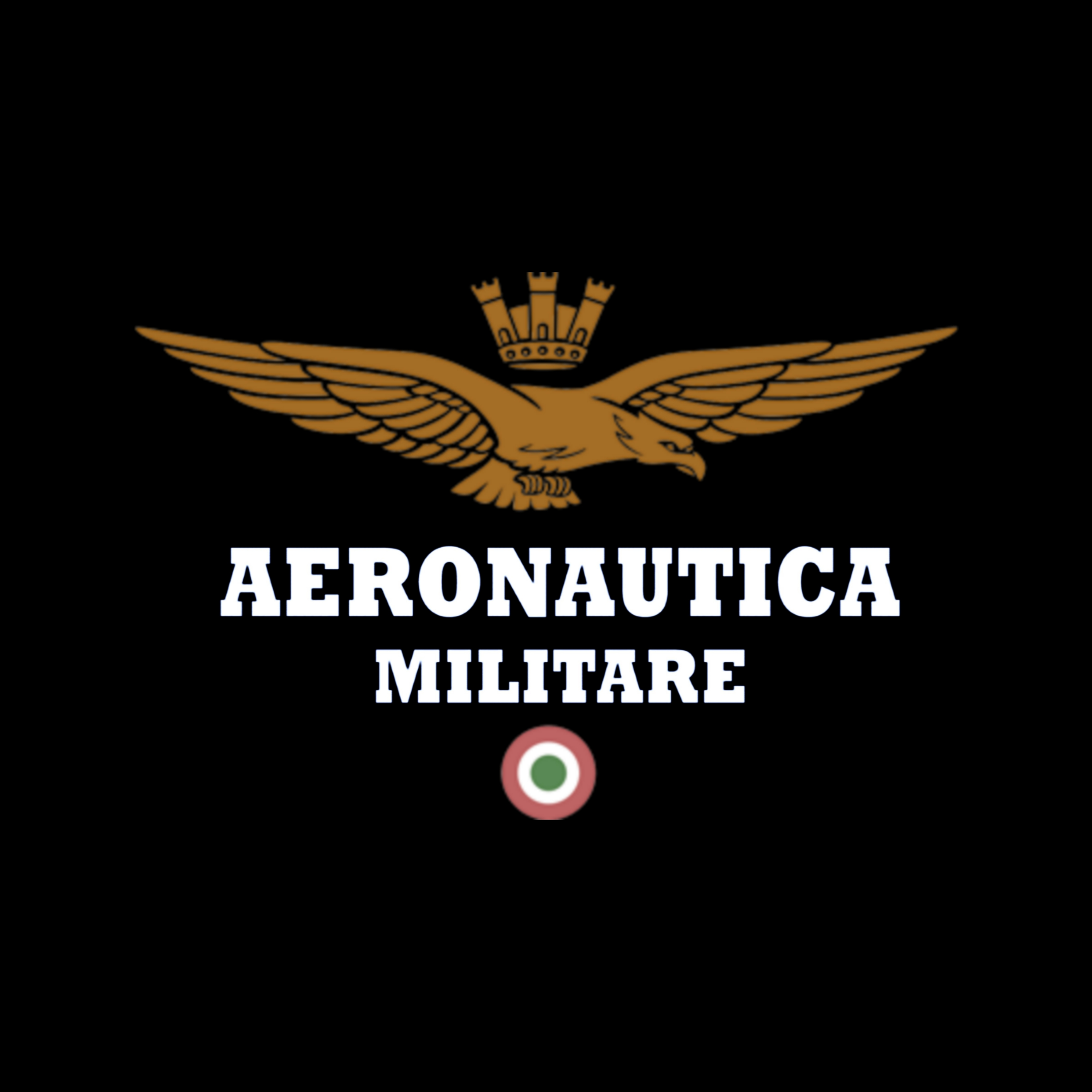 BRAND: AERONAUTICA MILITARE
