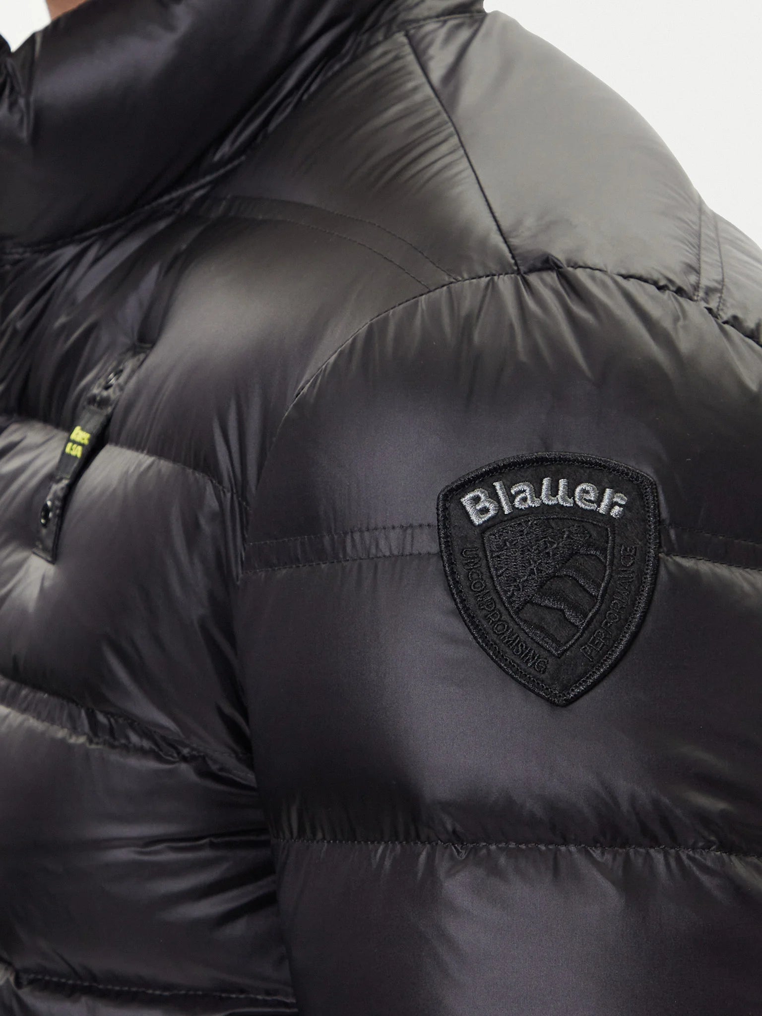 PIUMINO BLAUER BELMONT TRAMA DRITTO IMB. PIUMA SENZA CAPP