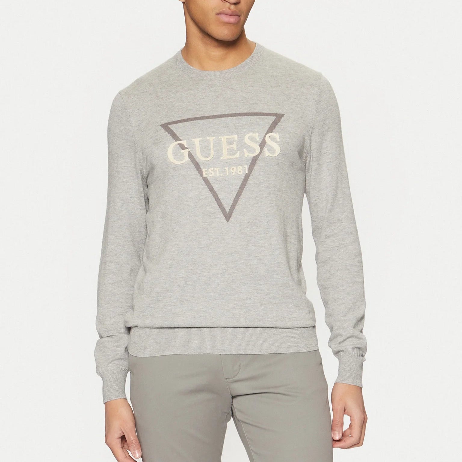 FELPA GUESS FABIAN LOGO