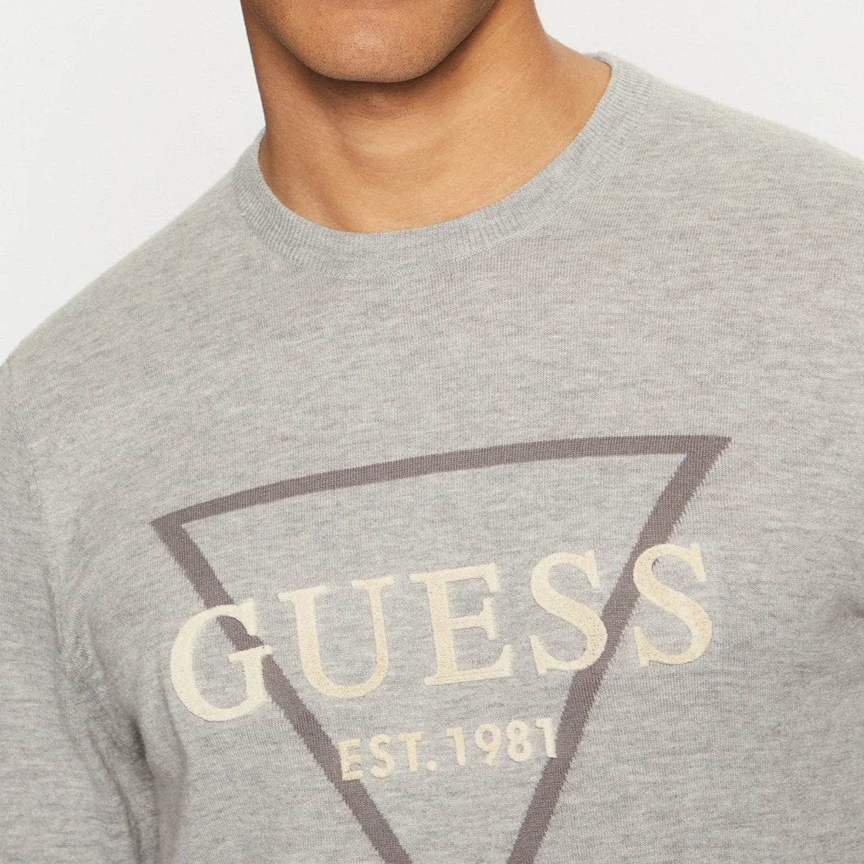 FELPA GUESS FABIAN LOGO