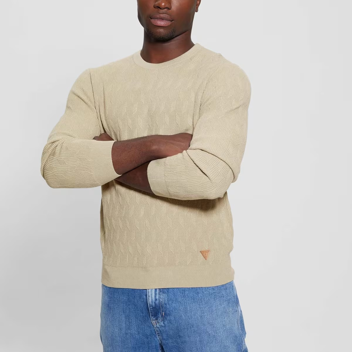 MAGLIA GUESS DELROY ML STITCHED