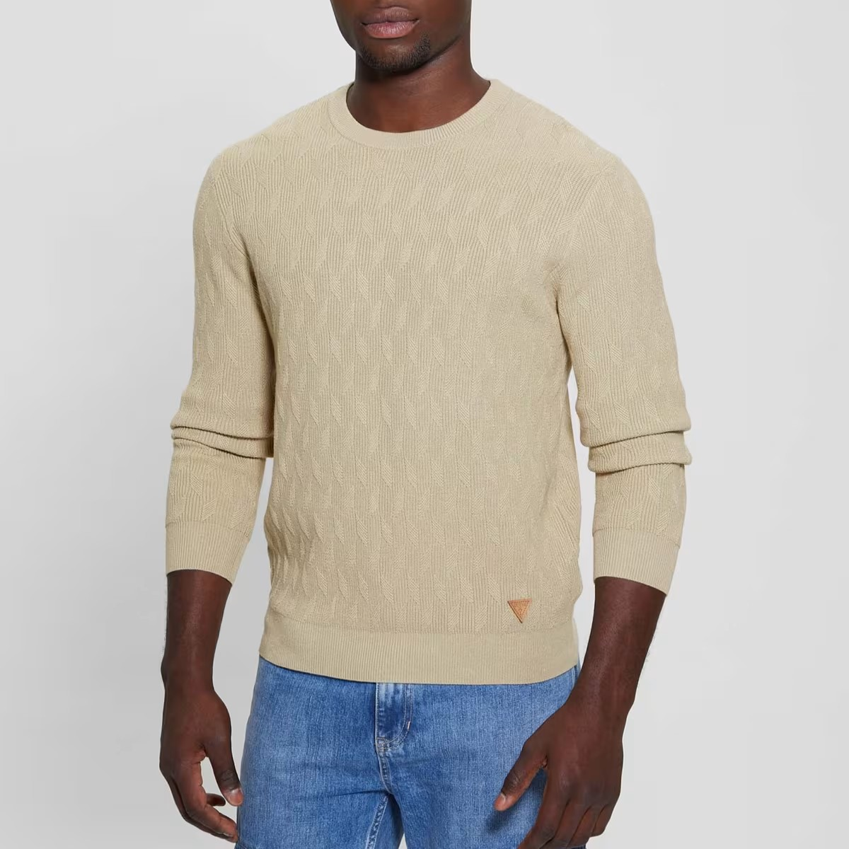 MAGLIA GUESS DELROY ML STITCHED