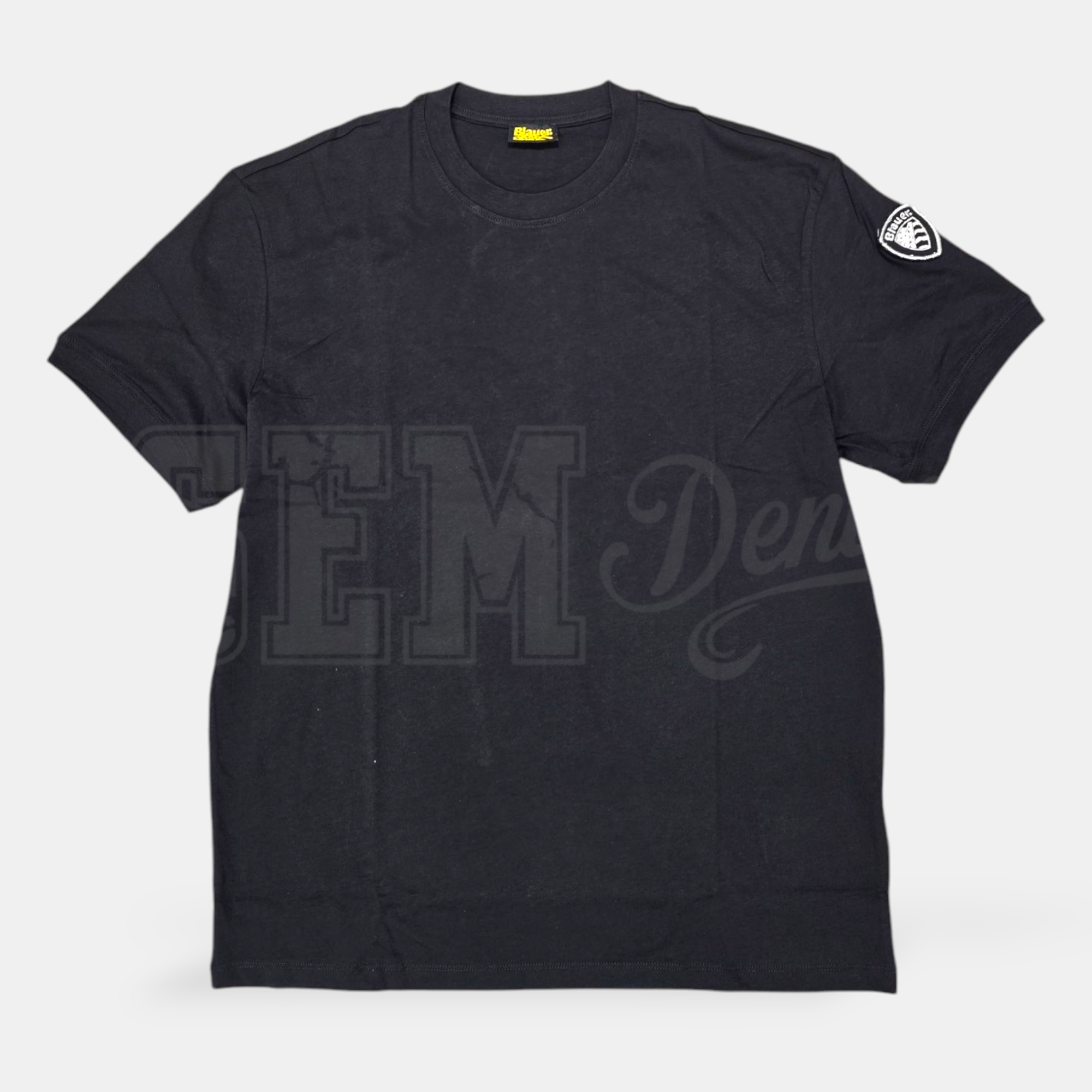 TSHIRT BLAUER ANTONY SCUDO MANICA