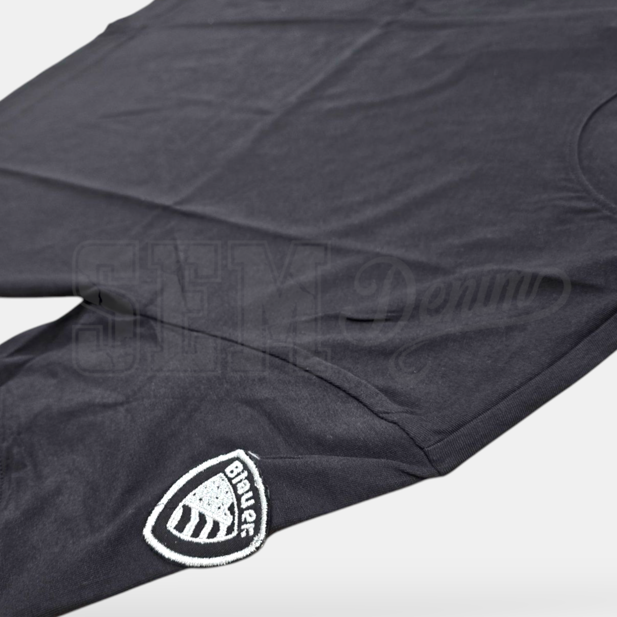 TSHIRT BLAUER ANTONY SCUDO MANICA